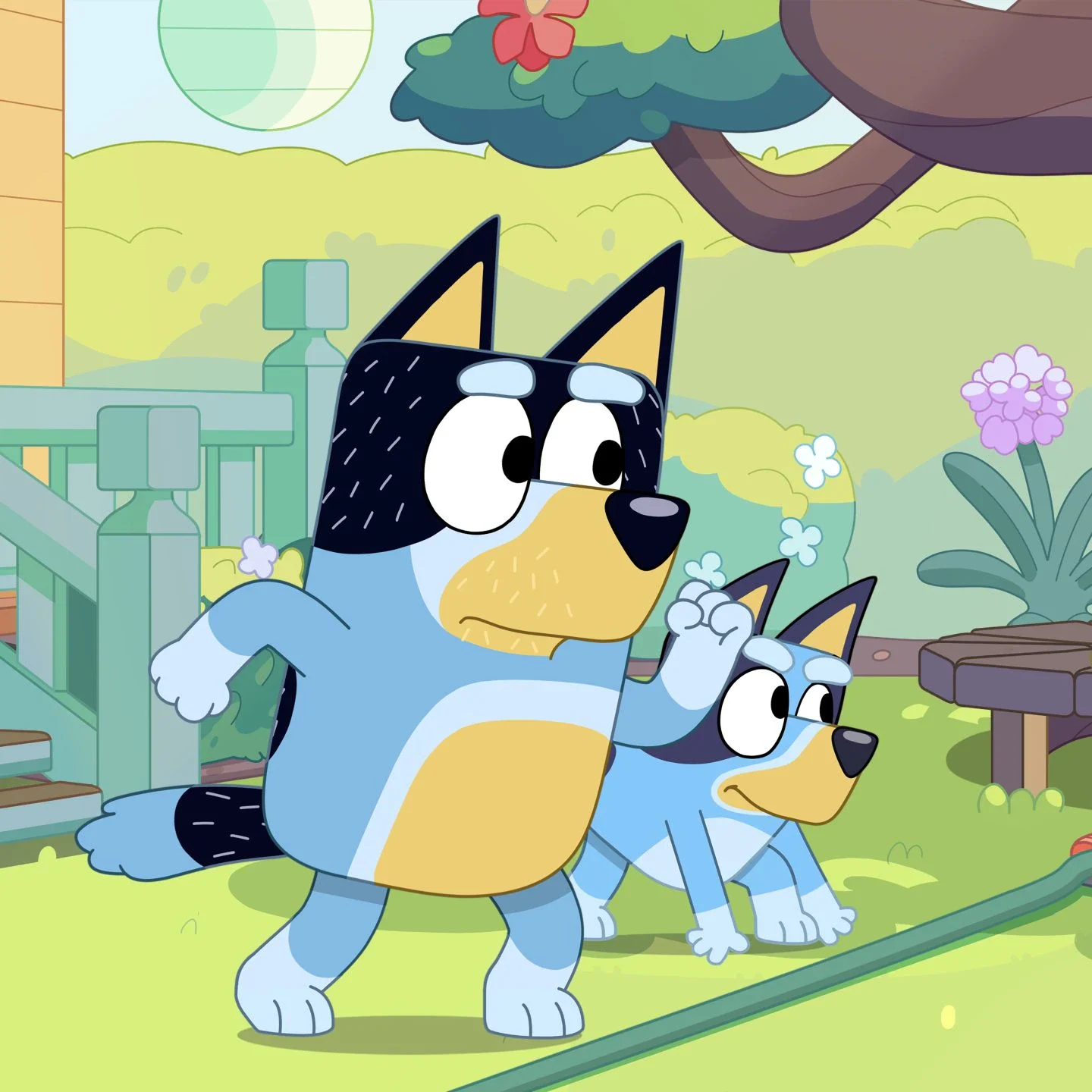 Featured on BBC Studios: BBC Studios Kids & Family Expands Bluey ...